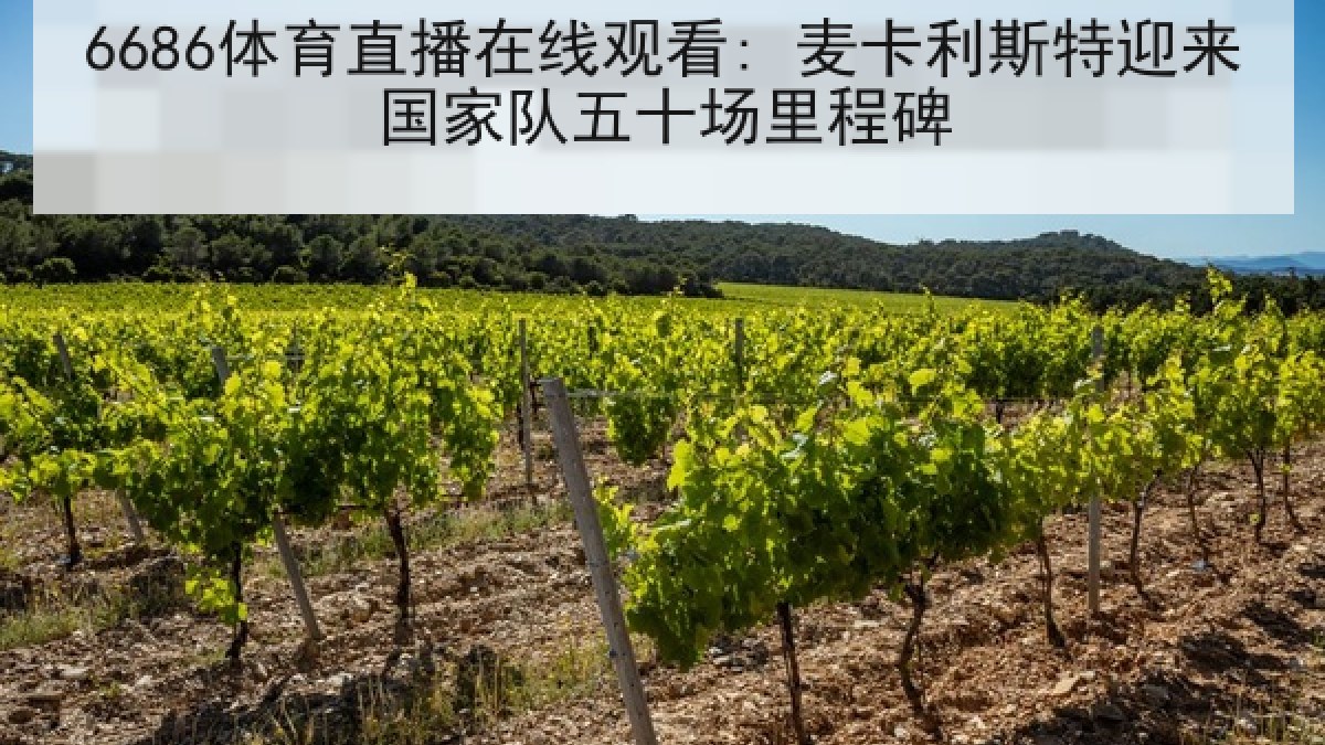 6686体育直播在线观看: 麦卡利斯特迎来国家队五十场里程碑 6686体育直播在线观看: 麦卡利斯特迎来国家队五十场里程碑
