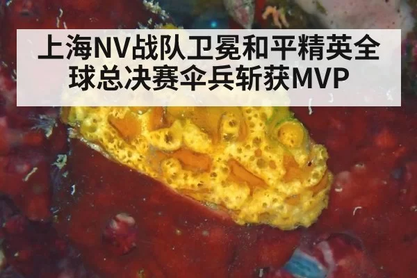 上海NV战队卫冕和平精英全球总决赛伞兵斩获MVP